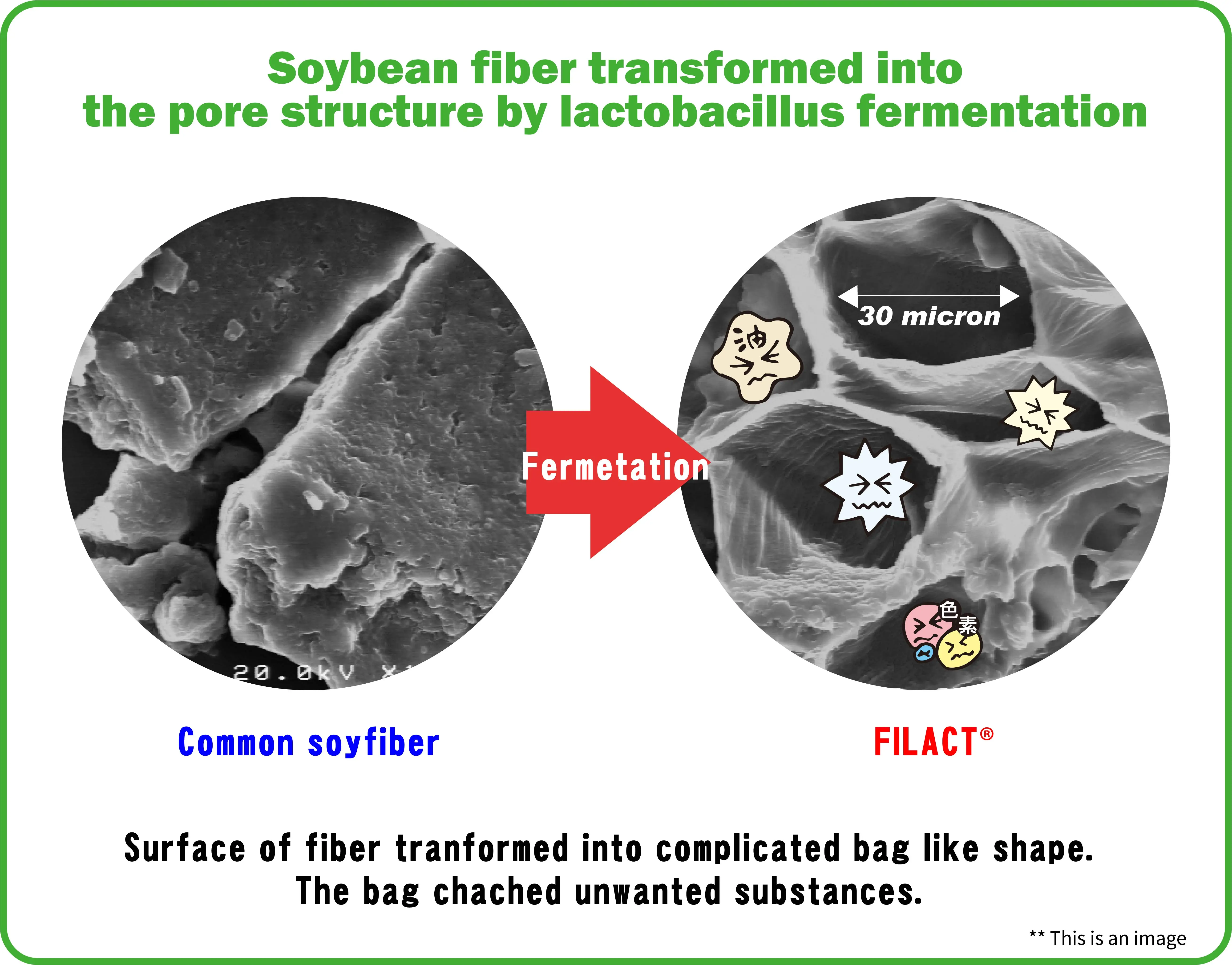 Japanese detoxes oil healthy detox products supplies for wholesale