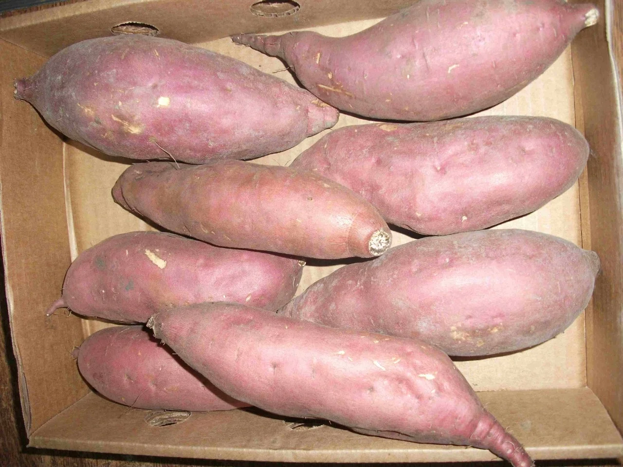 Свежий медовый Сладкий Картофель/дешевая свежий медовый сладкий картофель