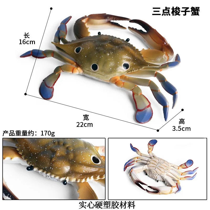 CJJ174 7518.jpg