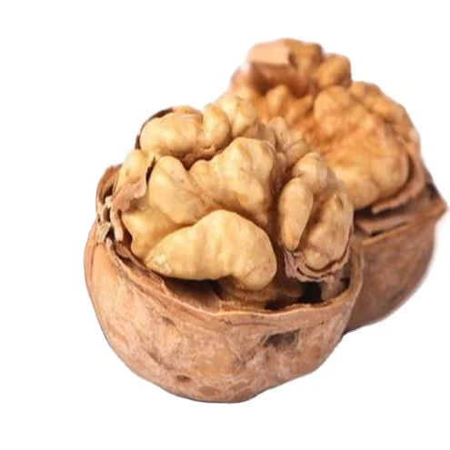 High Quality Chinese Walnut in Shell (1600490921669)