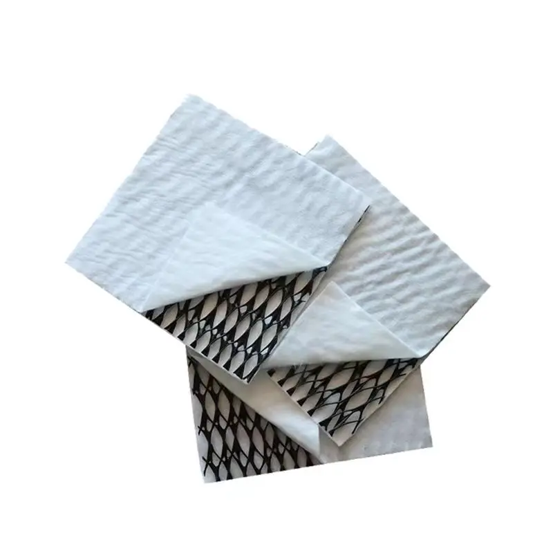 HDPE 3D Composite Drainage Network Tunnel Foundation, Roof Greening Drainage, Geonet Drainage Liner