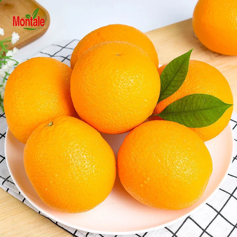 Top quality 2022 Wholesale best newhall orange new market fresh orange