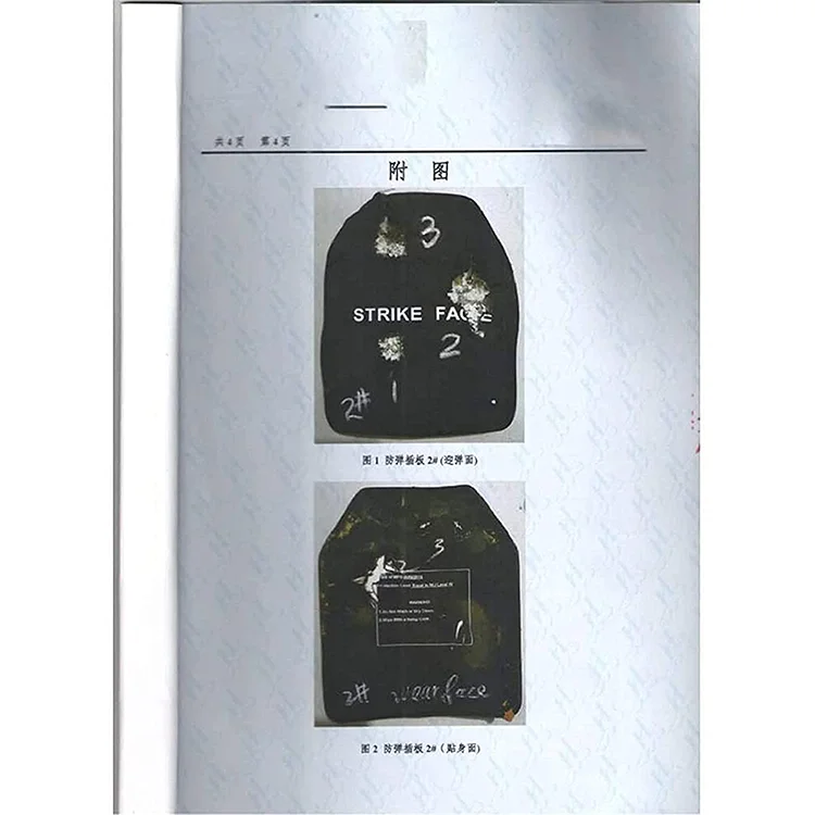 Ballistic Plate (2).png