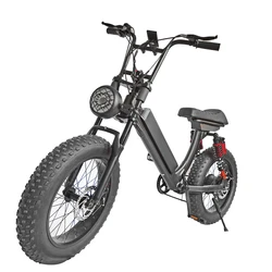 REALMAXS Hot sale 20 inch electric bicycle rear drive 1000w electric city bike electric bike cheap city electric fat bike