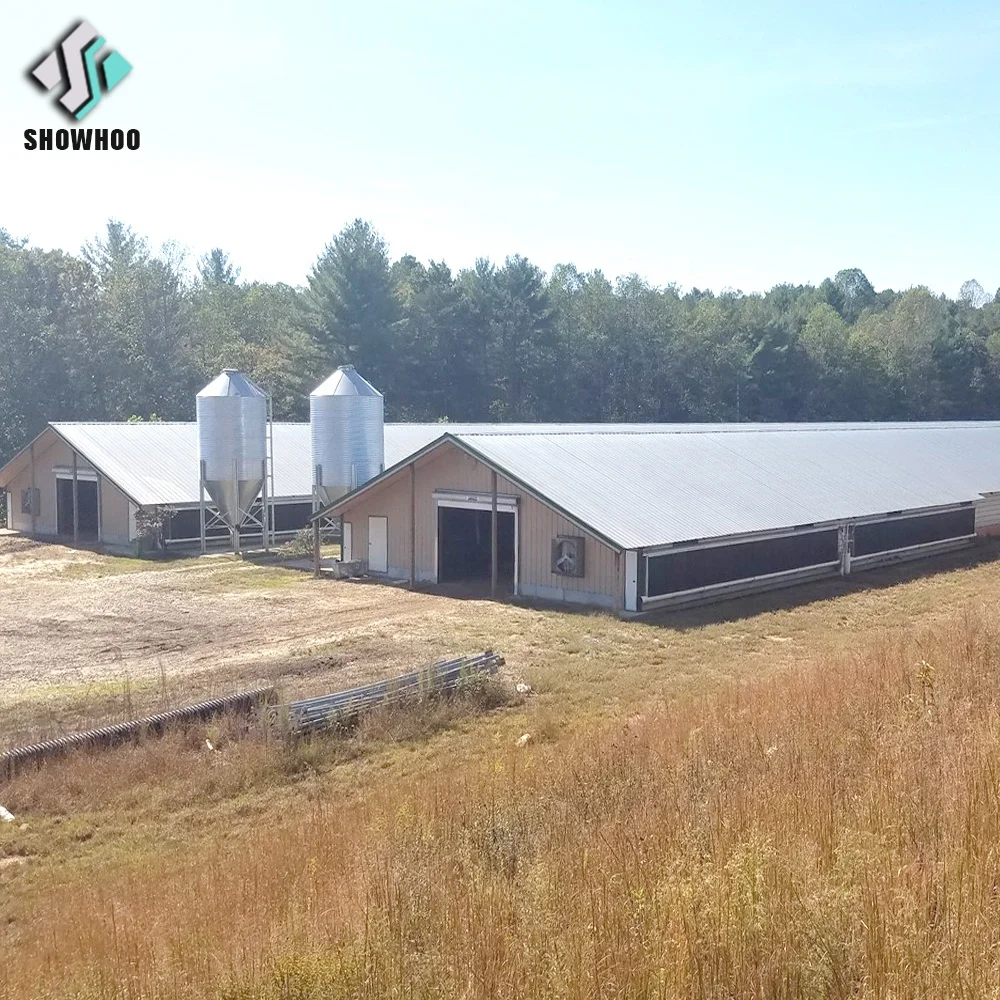 Prefabricated Chicken House Designs Poultry Farm Building Structures