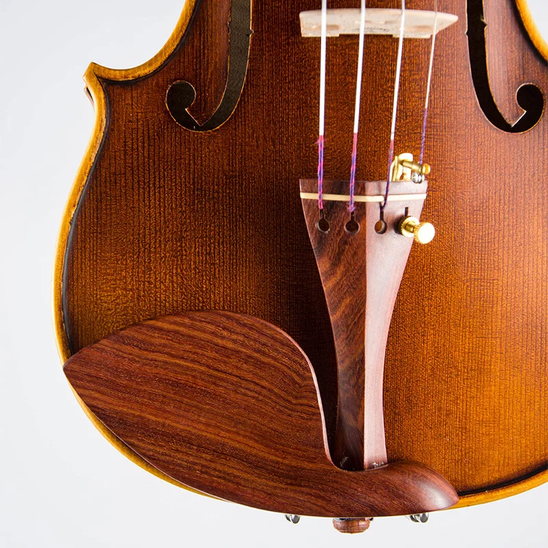 CHRISTINA  Famous Brand Solid Wood Violin Free Bow Violin Case and Strings
