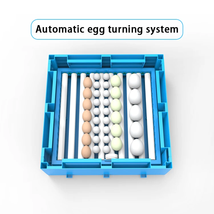 Factory Directly Sales Small 192 Eggs Incubator Equipment Automatic Hatching
