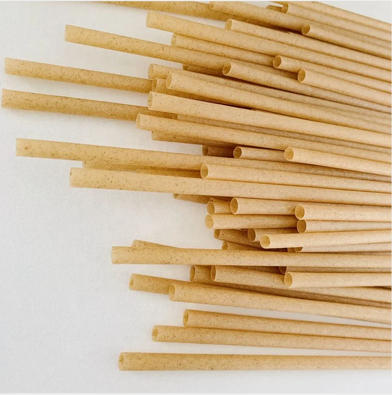 Natural biodegradable sugarcane bagasse straws drinking straw  PLA sugarcane drinking straws
