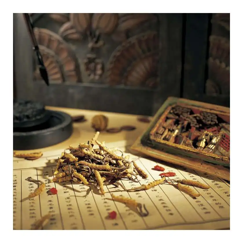 Superior Quality Cordyceps Sinensis Powder Of Capsules By Cordyceps Sinensis Extract