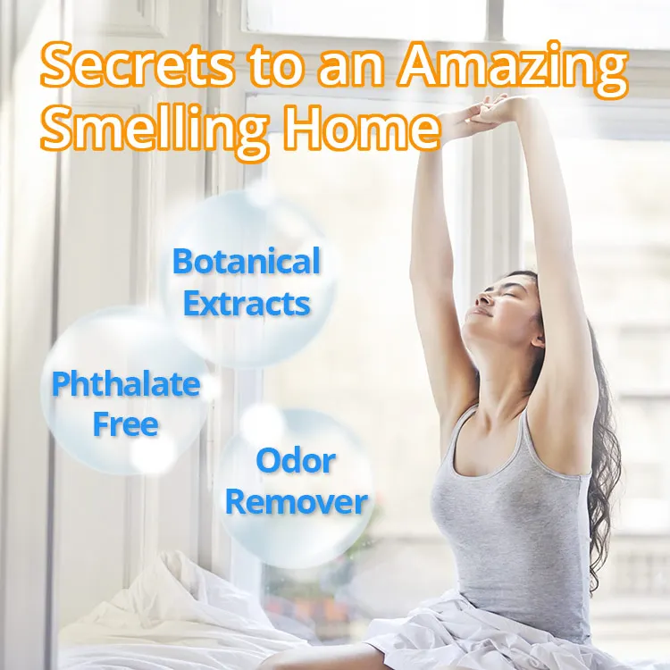 factory direct air freshener supplier