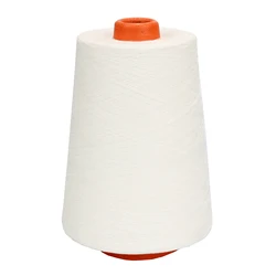 China Factory Direct Supplying 30S/1 100% Polyester Yarn for Knitting and Weaving