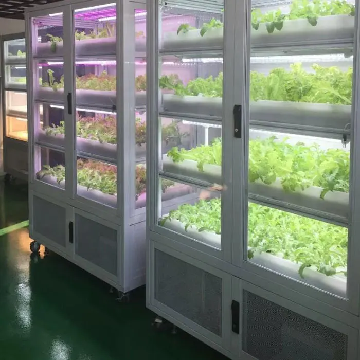 Professional complete set green house greenhouse/grow cabinet/grow box hydroponic indoor growing systems,WW+CW+BLUE+RED+IR+UV