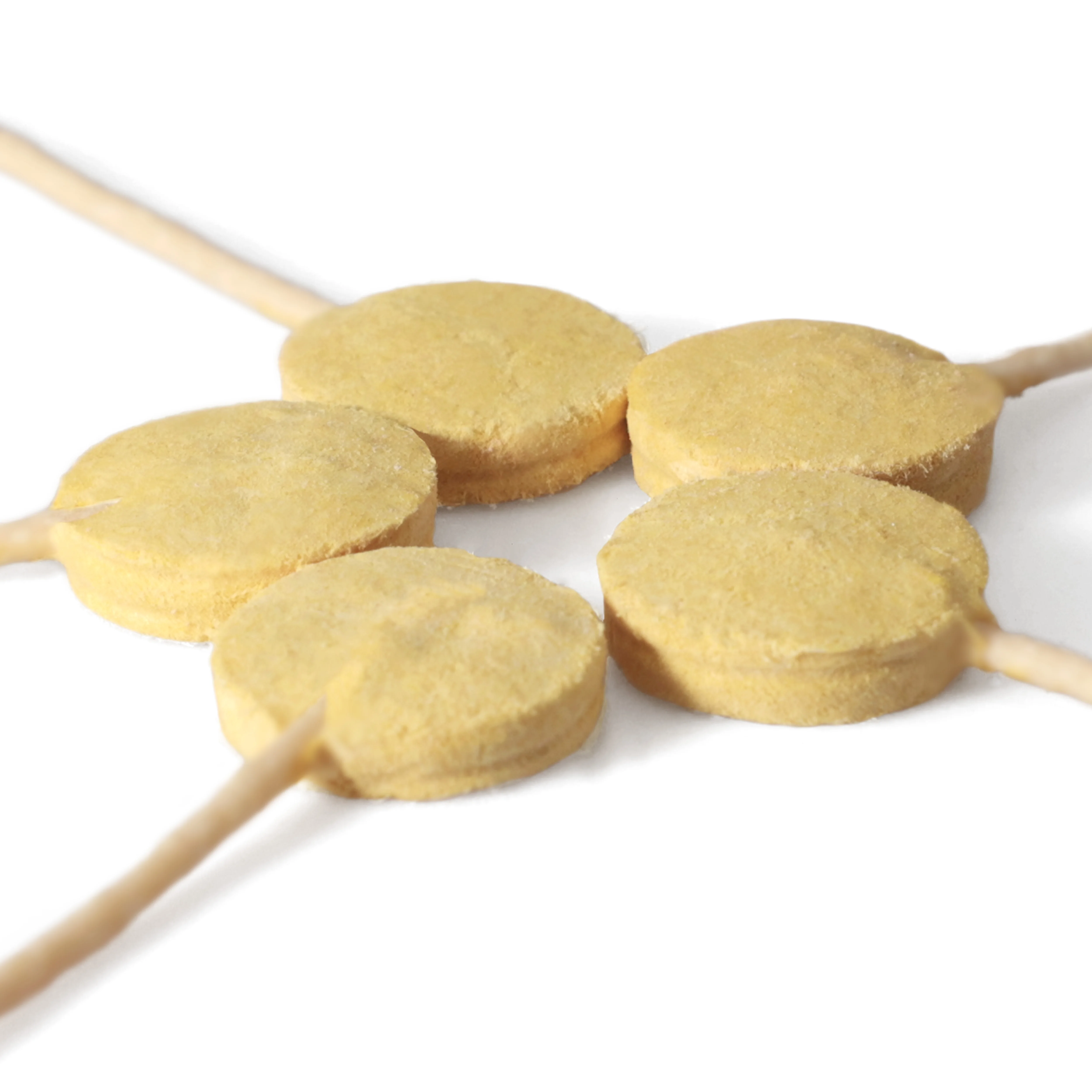 Замороженный лиофилизированный корм для собак