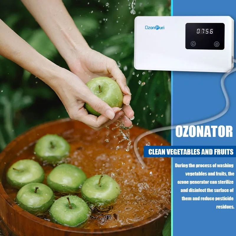 Wholesale Ozone Water Machine 500mg/h Ozone Generator Fruit Washer Vegetable Washers