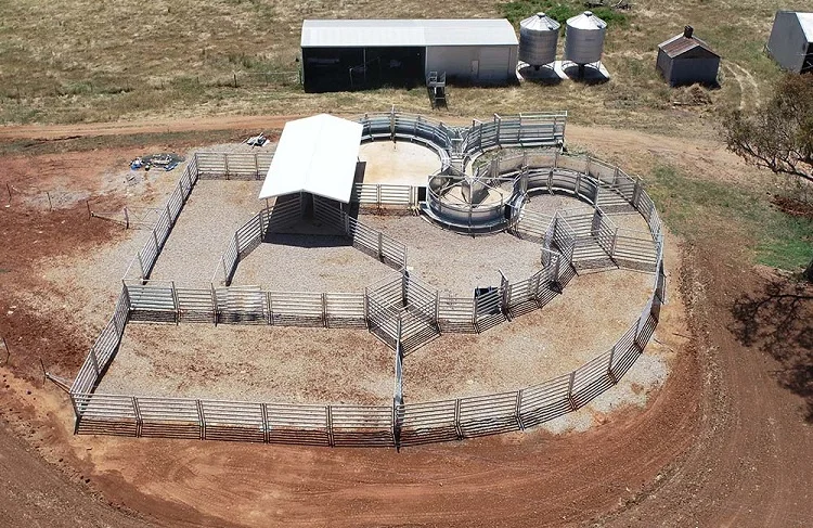 cattle corral panel (12)
