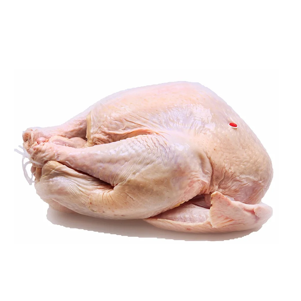 
Frozen Turkey Legs, All Parts, Whole, Feet, Paws, Wings From Philippines 