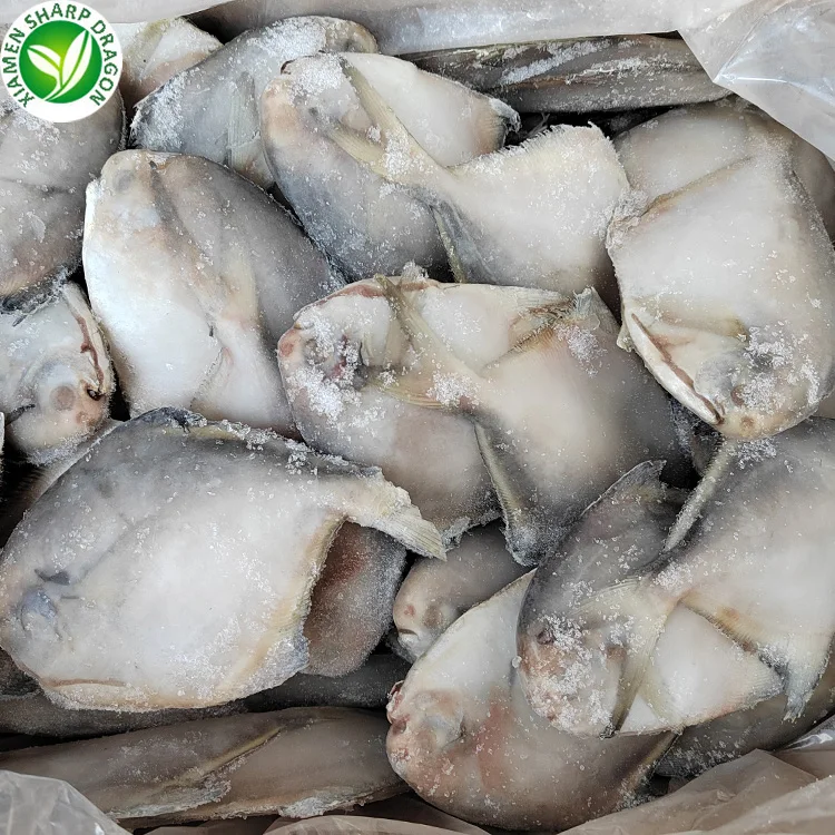New season 100-120 Frozen seafood Frozen White Pomfret