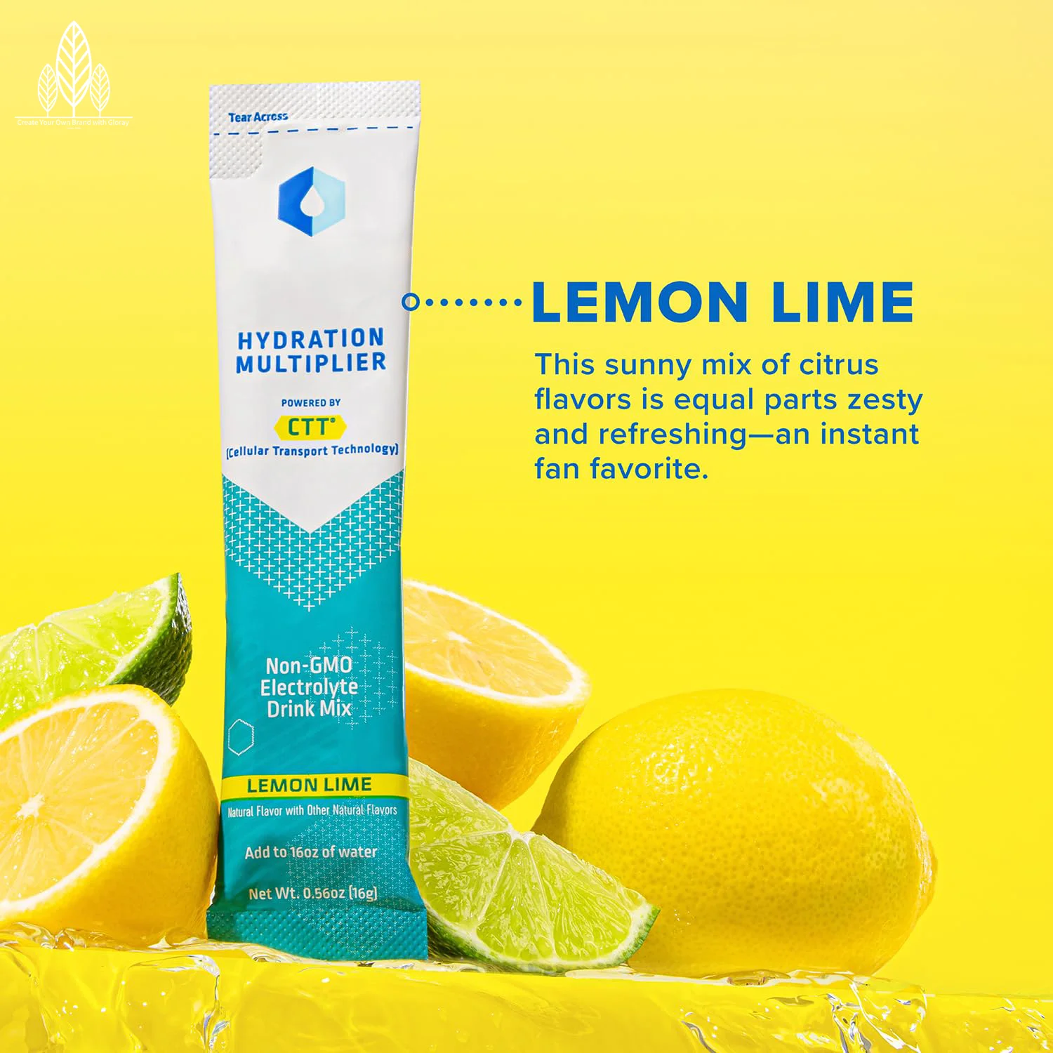 Hydration Multiplier Variety Pack 4 Flavors Lemon Lime Passion Fruit Strawberry Tropical Punch Electrolyte Drink Mix Recovery