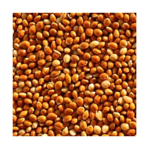 
Russian Hulled / Hirse / Miglio / Mijo / Golden Millet Grain 