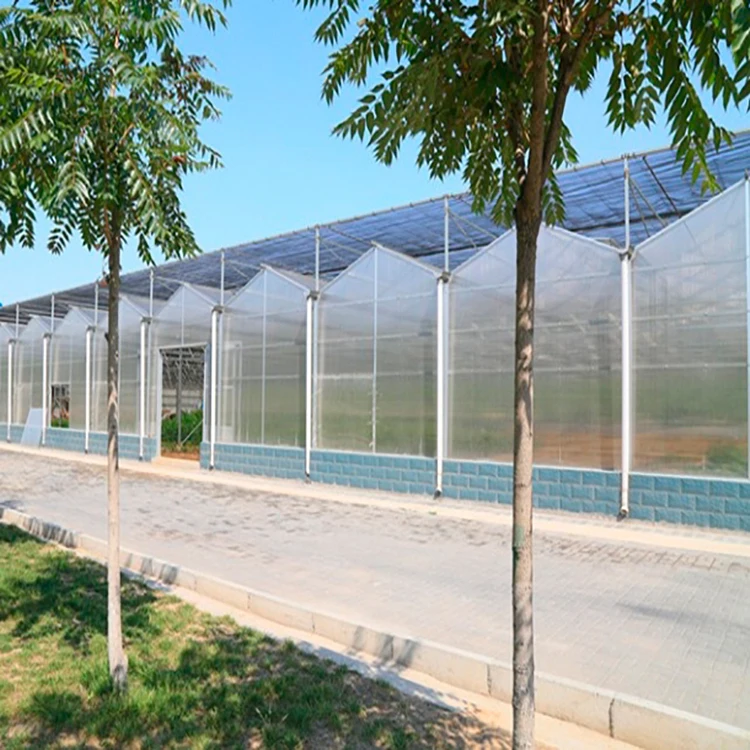10 Years Warranty 10mm Polycarbonate Sheet Agricultural Greenhouses  for Sale