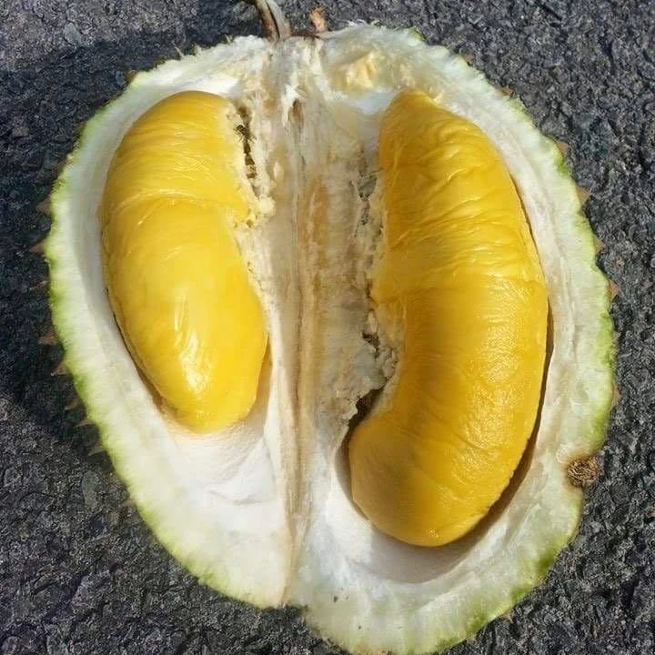 Горячая Распродажа супер свежий замороженный фрукт Musang King Durian для