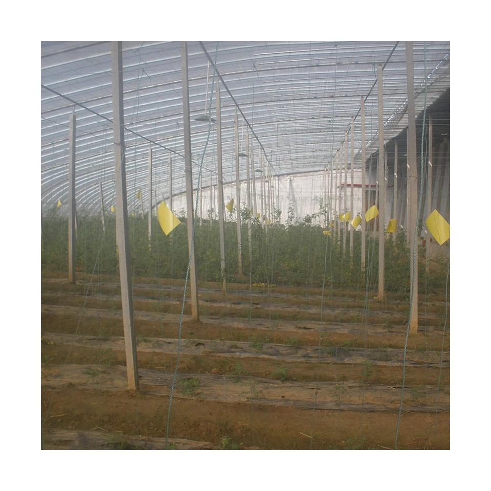 Promotional various  in-solar greenhouses agricultural greenhouses green house greenhouse