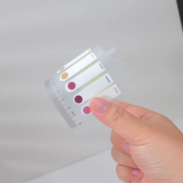 Transparent Book Markers Writable and Repositionable Page Makers Morandi Index Tabs for Annotating Books Page Tabs Books Flags