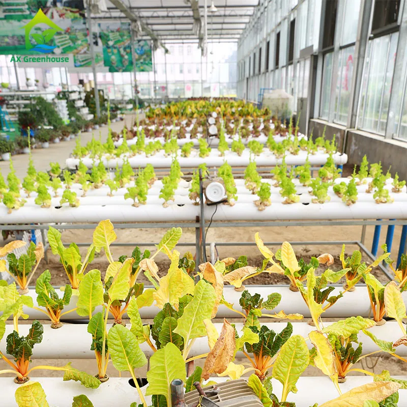 solar power hydroponic fodder growing system with sprinkler