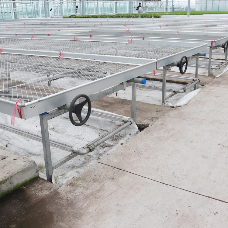 Low Cost Rolling Bench Growing Tables Commercial Plants Wire Mesh Greenhouse Bench