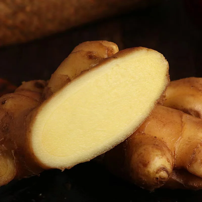 
Chinese Ginger the Newest Ginger Fresh Ginger 