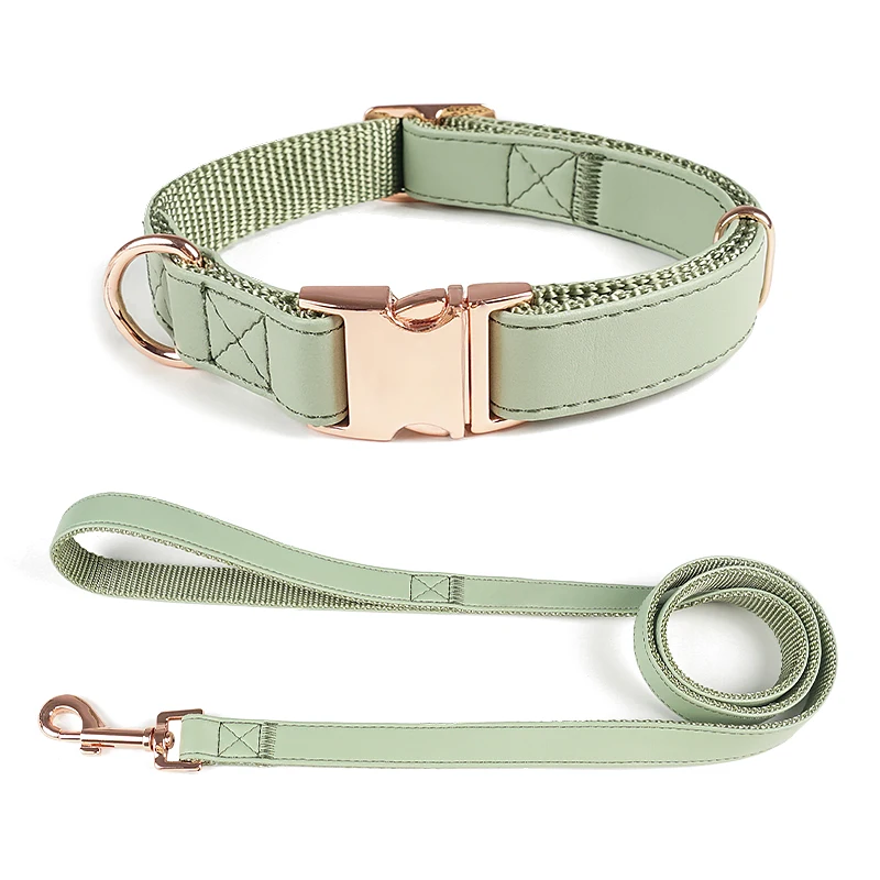 Hot Sale Luxury Dog Collar and Leash Set Premium No Pull for Small Medium Large