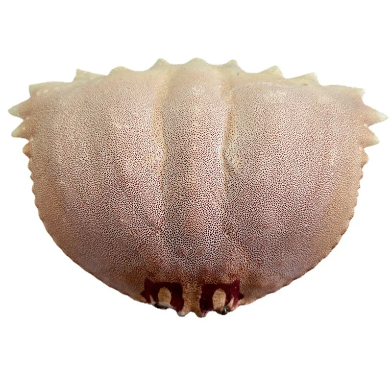 Hot selling dried crab shells, high quality natural crab shells, various styles and varieties, for art or animal feed