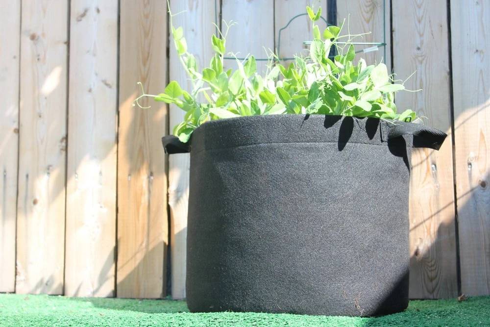 
Grow Bag 