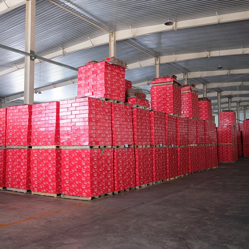 Double Concentrate Canned High Fresh Quality Tin Tomato Paste supplier brix 28-30%