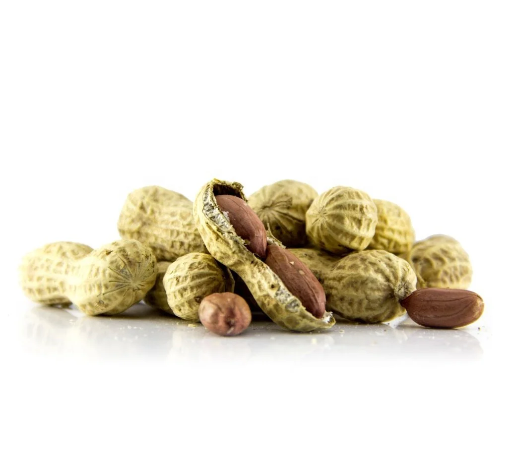 High quality raw peanut kernels