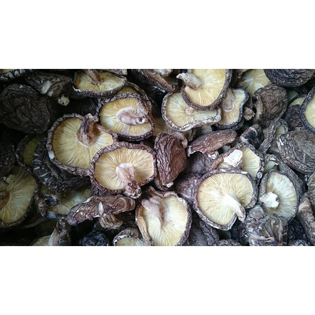 
healthy longevity Whole Raw best price export Wild dried shiitake mushroom stem 