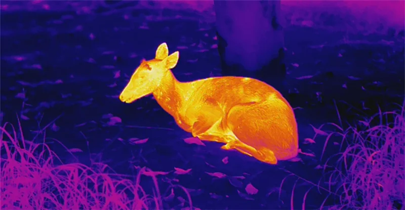 E6Pro V3.0 12um 50mm thermal vision monocular