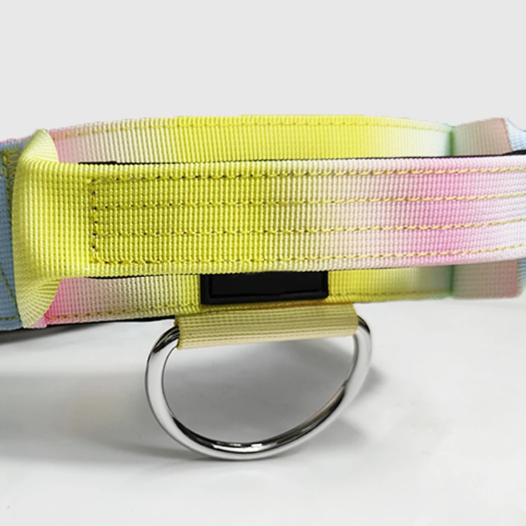 2 inch 4cm 5cm nylon no pull pet collar leash harness adjustable soft padded heavy duty combat tactical dog collar with handle