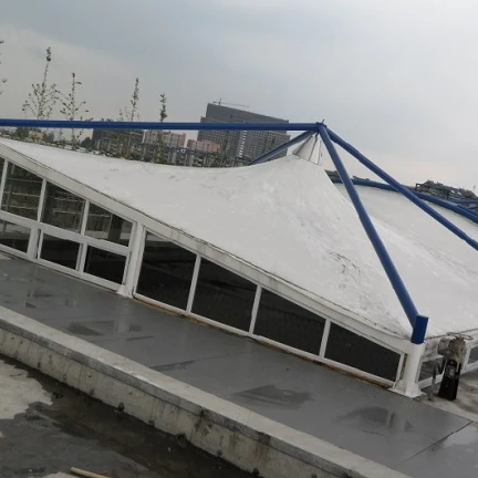 Биогазовый завод-передатчик покрывает производство биогаза из отходов
