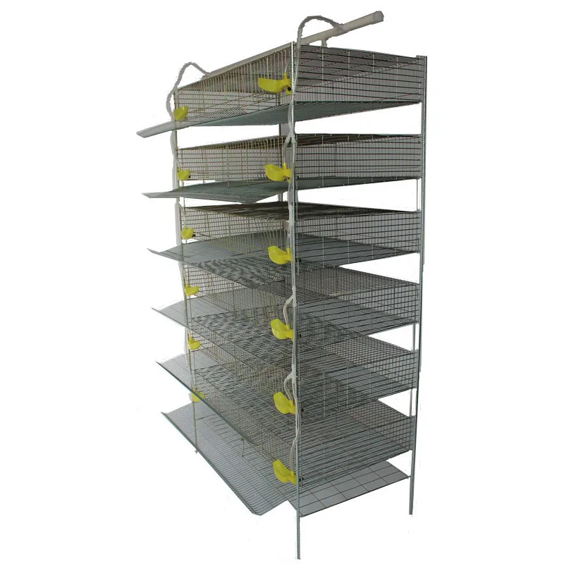 Cages of quails metal wire layer quail cage with automatic drinking system for sale