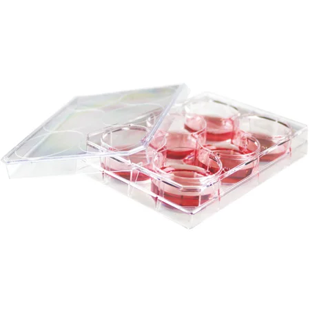 
 bacterial culture  