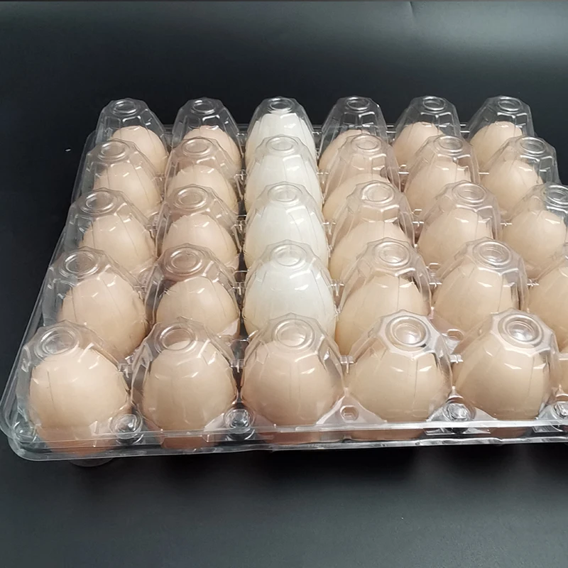 30 hole customized pet environmental friendly plastic flip egg tray