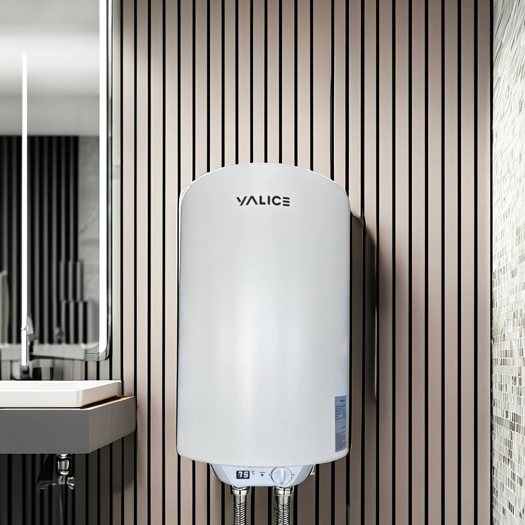 50L ducha Electric Sauna Heater Wall-Mounted Water Tank for Household Use Electric Chauffe Eau Douche with Digital Display