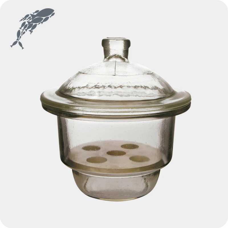 JOANLAB Equipment Brown Glass Vacuum Desiccator For Sale