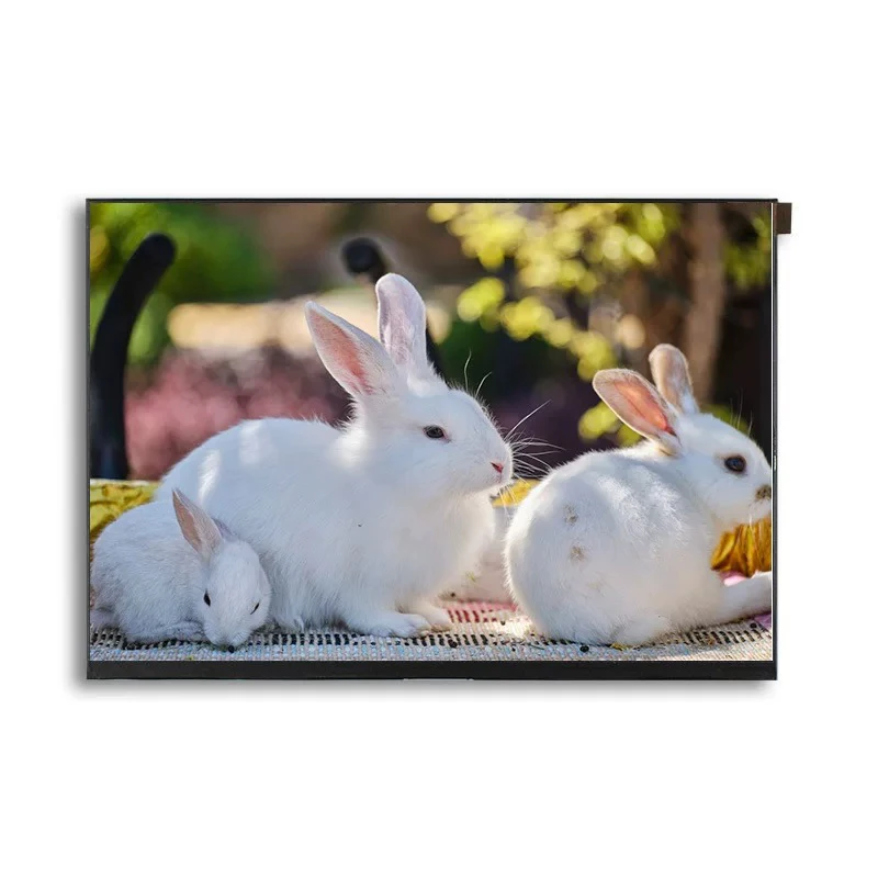 27 inch 3840*2160 1000 int Wide temperature -30 to 80 high brightness LVDS interface tft lcd module display panel Touch Screen