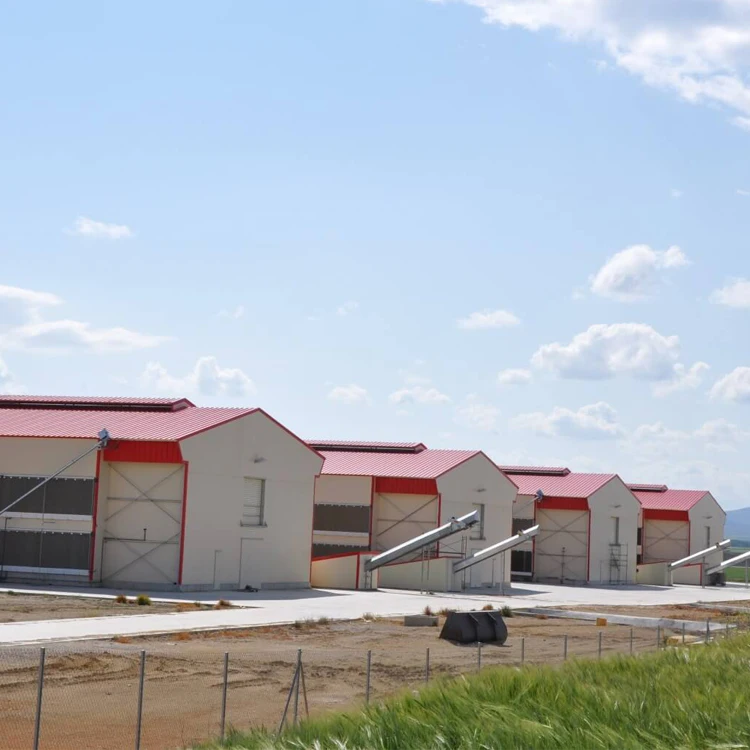 Оптовая продажа, серебряная ферма, наружный металлический задний двор, птицефабрика, Бройлер, куриный дом для продажи