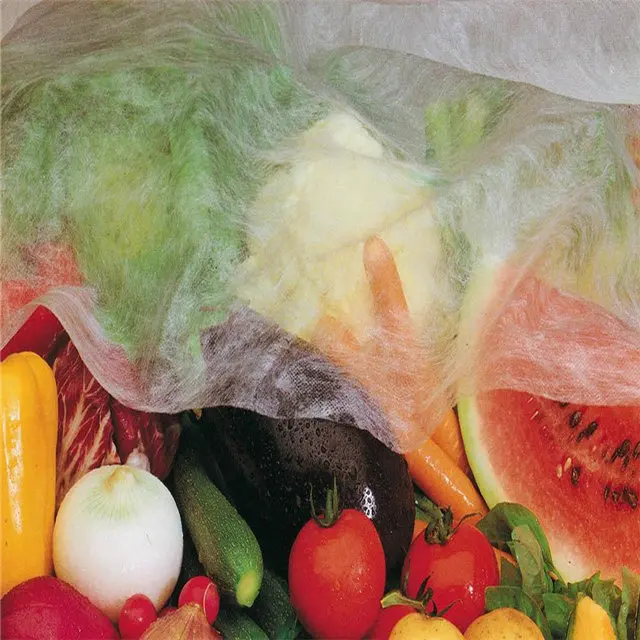 Anti-UV Treatment pp Spunbond Nonwoven Fabric Fruit Cover/fruit
