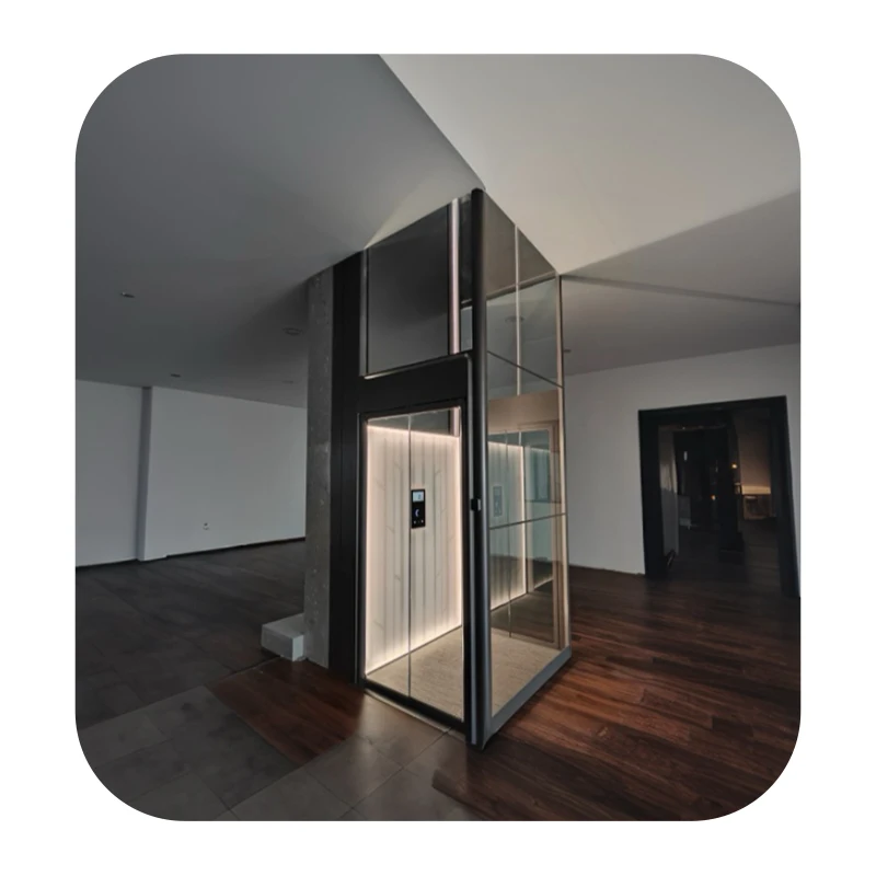 Pitless Residential Home Elevator Brand Stainless Steel 304 3 Stop Villa Elevator