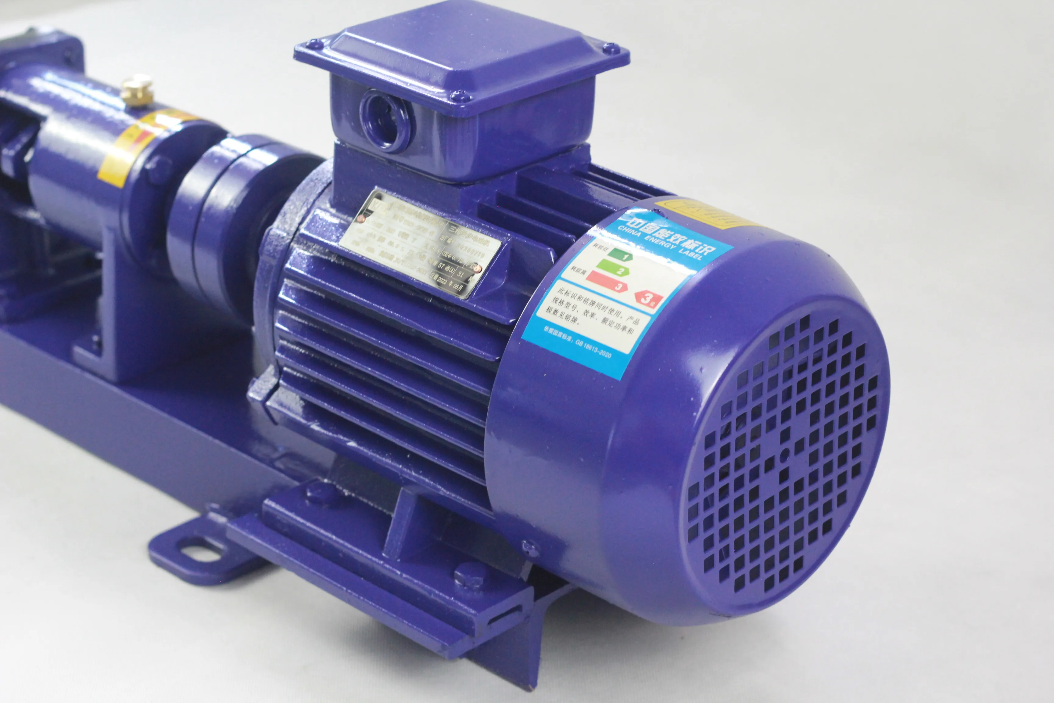 G40-2 Stainless Steel G-Type Screw Pump Sludge & Booster Pump for Sewage Treatment Filter Press Feed & Sewage Pump