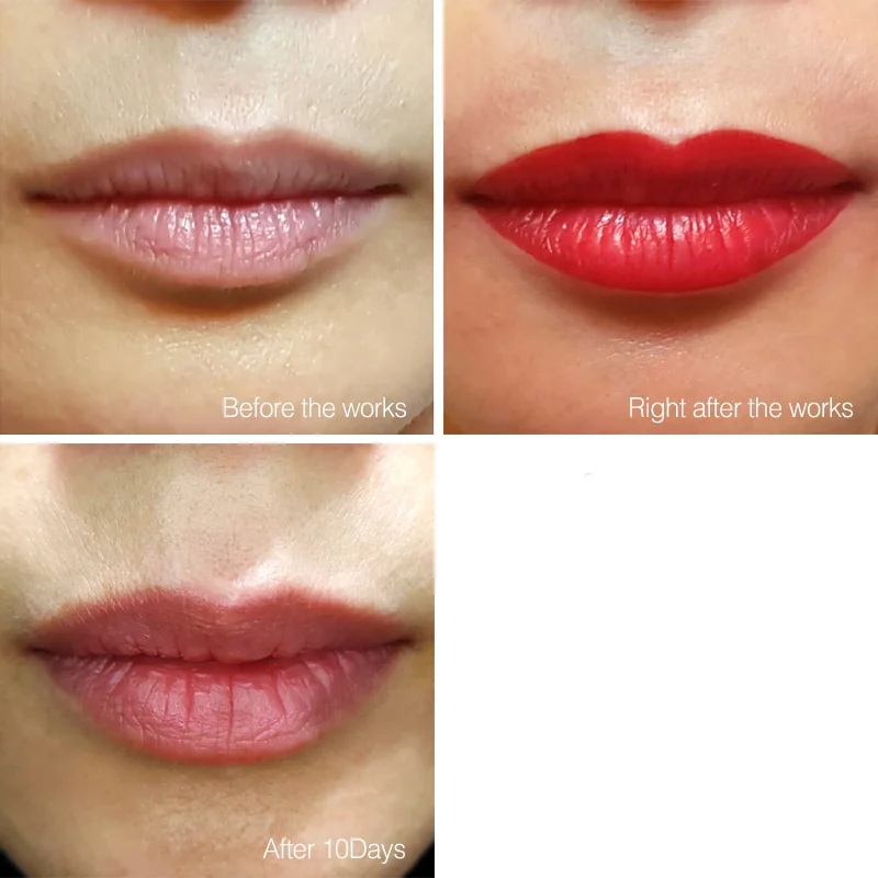 Private Label organic origin perman makeup tattoo pigment ink In Stock